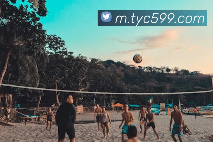 App Interface Preview