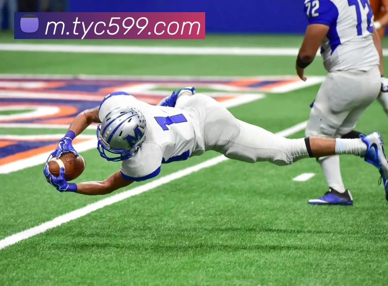 太阳城网站APP 封面图